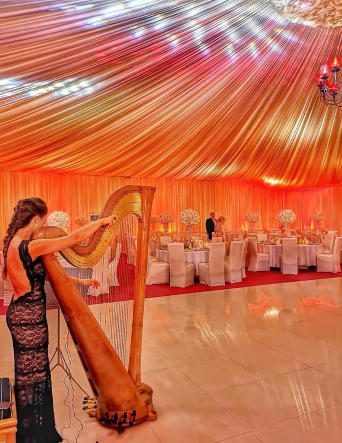 Hotel Dennis Mediaş Εξωτερικό φωτογραφία